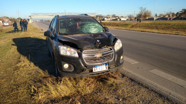 Un joven murió atropellado en Malvinas Argentinas