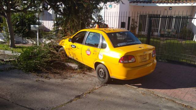 FOTO: Robaron un taxi, huyeron y chocaron contra un árbol