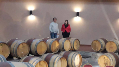 Vinos patagónicos en la bodega Schroeder