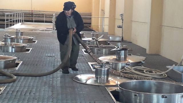 San Patricio del Chañar, el rincón del vino en la Patagonia