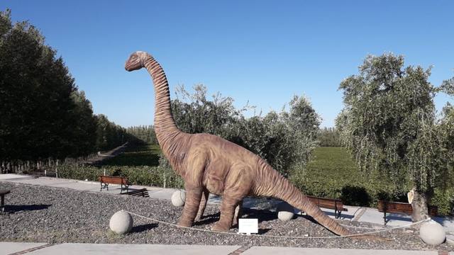 San Patricio del Chañar, el rincón del vino en la Patagonia