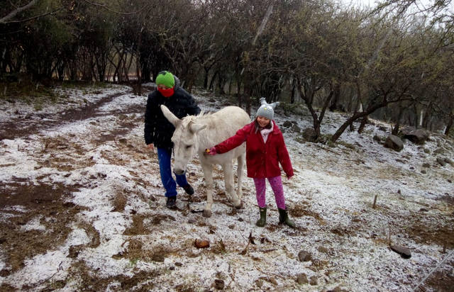 Las mejores postales de una Córdoba bajo nieve
