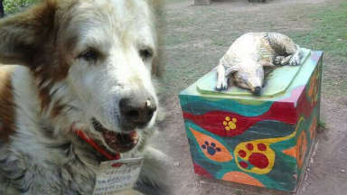 AUDIO: Murió el perro del pueblo en Salta