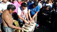 El campeonato de pesca, un clásico de La Merced