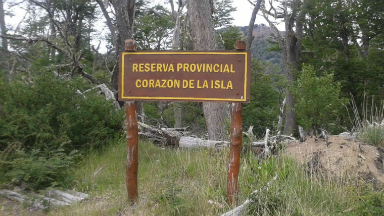 AUDIO: Ceden 10 mil hectáreas de una reserva natural a un privado