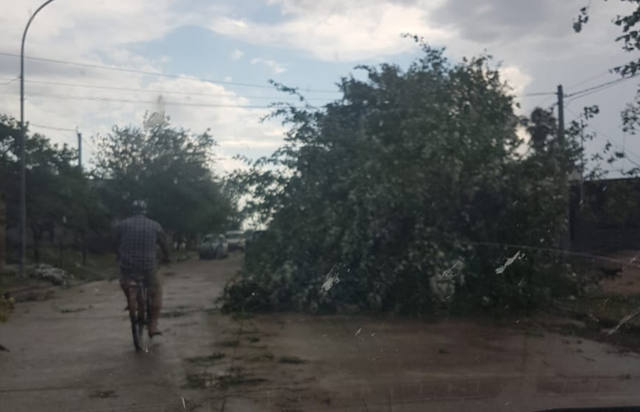 FOTO: Un temporal con fuertes ráfagas azotó a Miramar y Marull