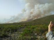Funcionario acusa a “perversos” de provocar incendios