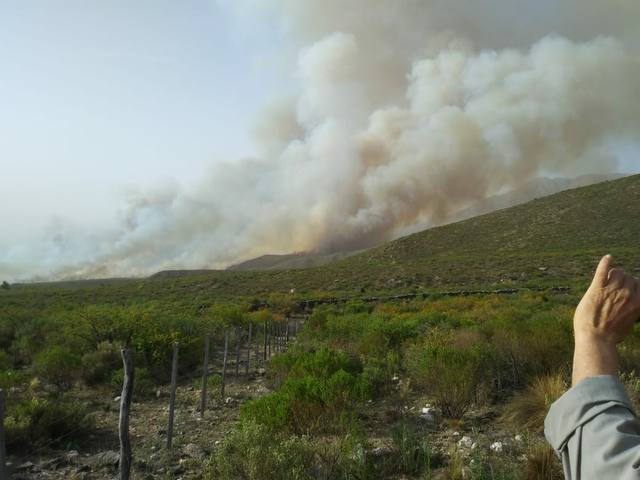 Funcionario acusa a “perversos” de provocar incendios