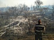 Funcionario acusa a “perversos” de provocar incendios