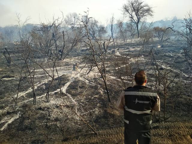 Funcionario acusa a “perversos” de provocar incendios