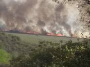 Funcionario acusa a “perversos” de provocar incendios