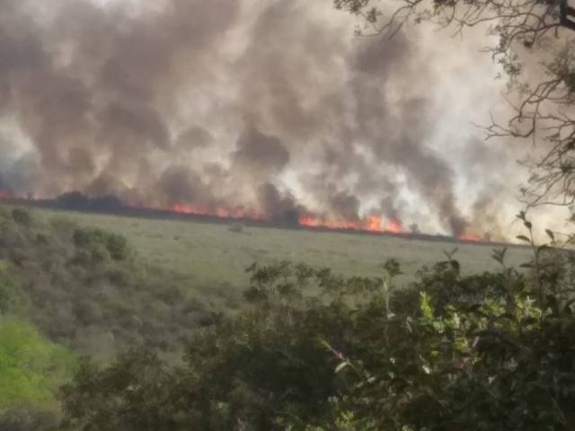 Funcionario acusa a “perversos” de provocar incendios