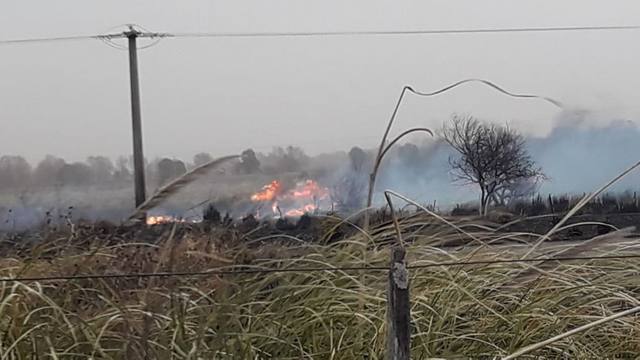 FOTO: Incendio en Alcira Gigena