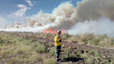 AUDIO: El fuego afectó 800 hectáreas en Devoto