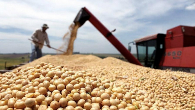 AUDIO: La baja de la soja perjudica a los productores argentinos