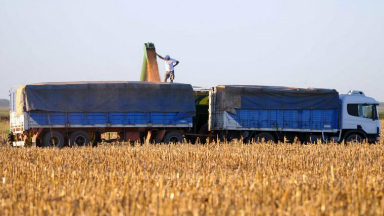 AUDIO: Córdoba necesita más de 2.000 camiones extra para la cosecha