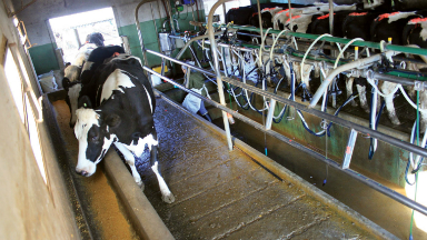 AUDIO: Para Baudino, la falta de lácteos es por la baja producción