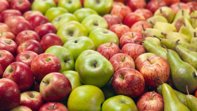 AUDIO: Fruticultores aseguran que 