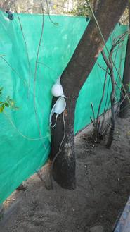 Prostitutas usan un jardín de infantes para tener relaciones