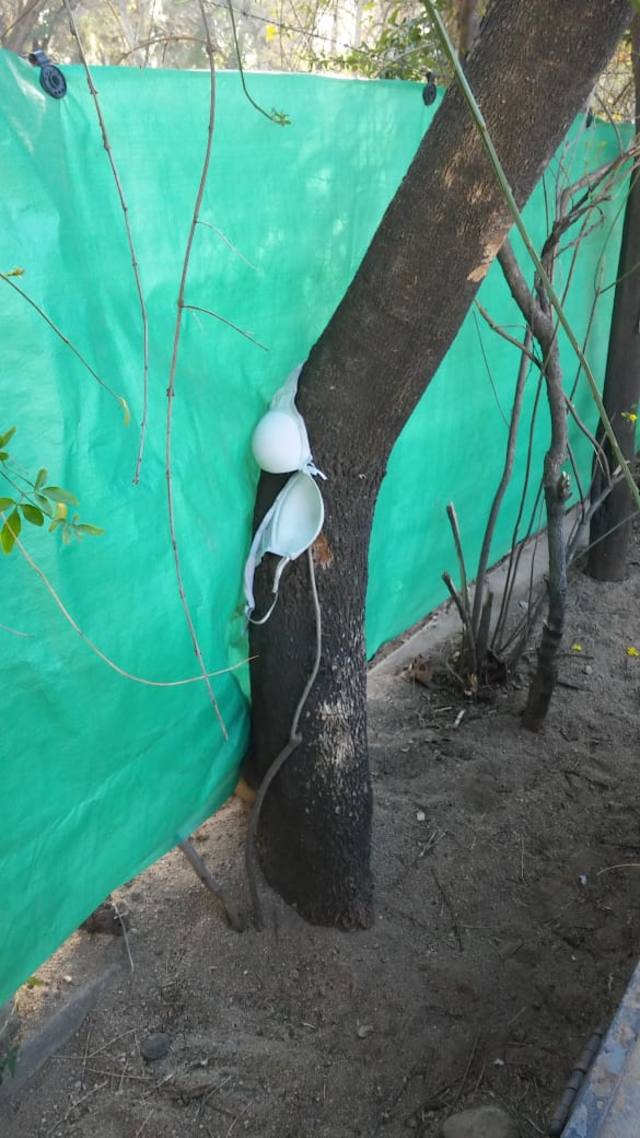 Prostitutas usan un jardín de infantes para tener relaciones