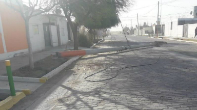 AUDIO: El viento Zonda dejó árboles y postes caídos en San Juan