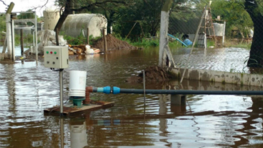 Por anegamiento de caminos, tamberos deben descartar leche