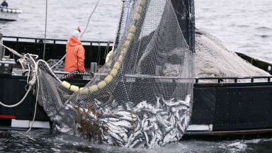 AUDIO: Acuerdo con la UE dará un crecimiento exponencial a la pesca
