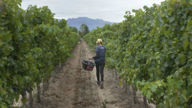 Bodegas argentinas apoyan un acuerdo Mercosur-Unión Europea