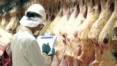 AUDIO: Economista destacó el crecimiento de la exportación de carne