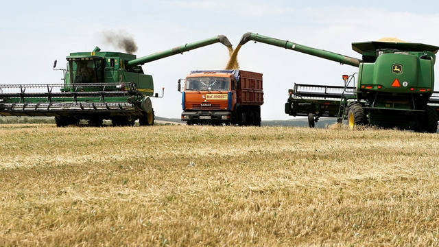 Fuerte crítica de economista a las 