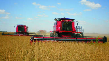 Coninagro pide agilizar legislación sobre semillas y seguros