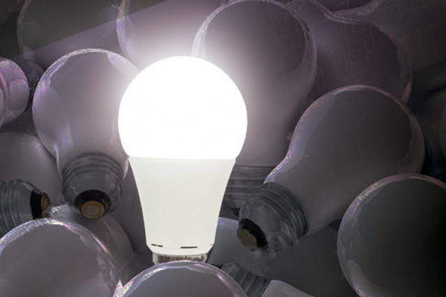 FOTO: Canjean lámparas incandescentes y de bajo consumo por led