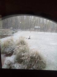 Intensas nevadas en Malargüe y San Rafael