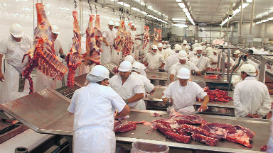 AUDIO: Exportación de carne: Japón es un mercado de alta gama