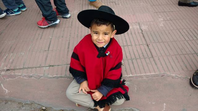 Salta rindió homenaje a Güemes con un gran desfile