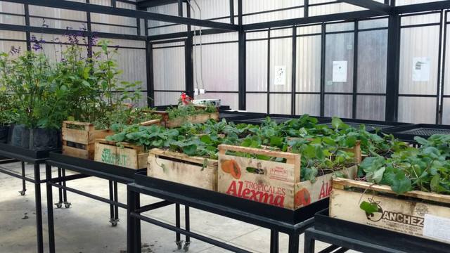 Inauguraron el Parque de la Estación en barrio Balvanera