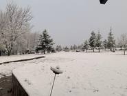 Sorpresa por una copiosa nevada en las sierras de San Luis