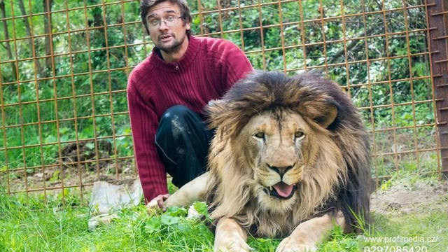 FOTO: Un hombre murió atacado por el león que criaba en su casa