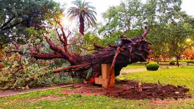Complicaciones por el temporal en Casilda y Rosario