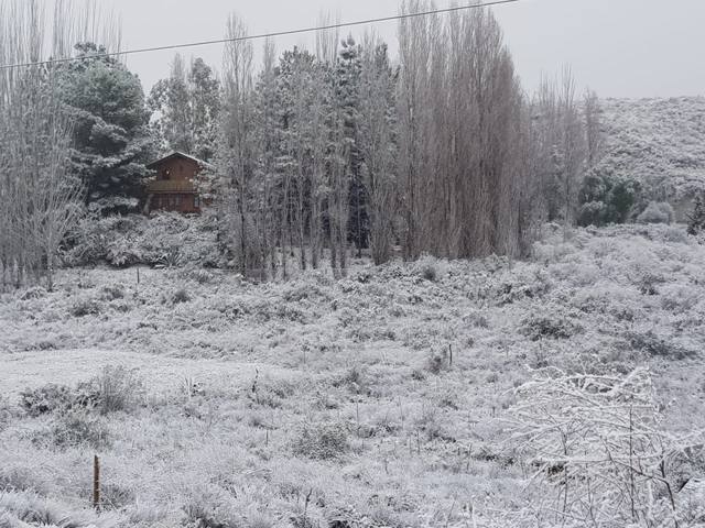 Mendoza, bajo cero: fotos de la primeras nevadas de julio