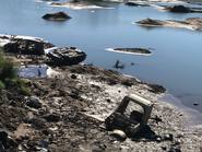 Descubren un cementerio de autos aparentemente robados