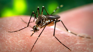 AUDIO: Detectan 298 casos de dengue en Santiago del Estero Capital