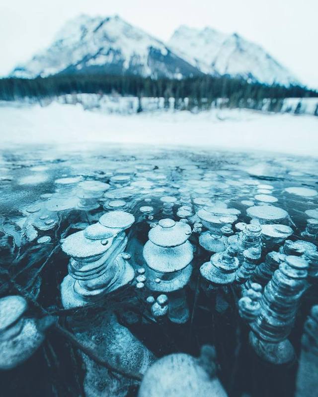 Increíbles burbujas congeladas encantan al mundo