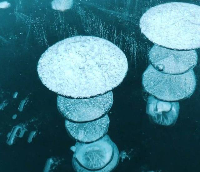 FOTO: Increíbles burbujas congeladas encantan al mundo