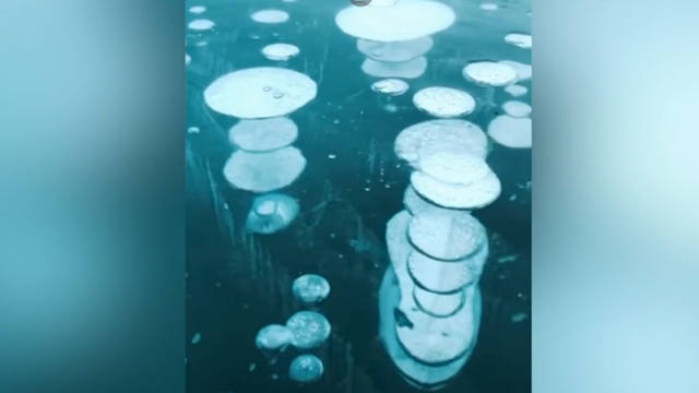 Increíbles burbujas congeladas encantan al mundo