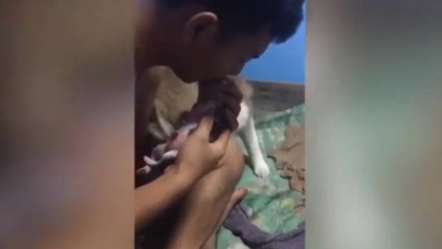 FOTO: Video: revivió a una cachorrita con respiración boca a boca