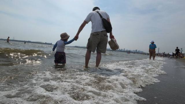FOTO: Japón: en siete años remedian playas afectadas por tsunami