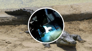 El supuesto violador fue linchado y encerrado con cocodrilos