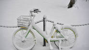 Temporal tormenta nieve Estados Unidos Toby