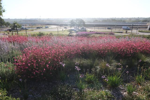 El nuevo Parque del Chateau abrió sus puertas